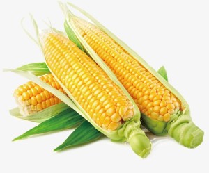 corn