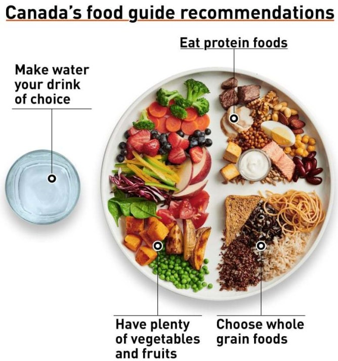 foodguide